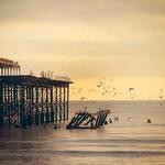 Amiya Denesik Profile Picture