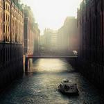 Noel Crona Profile Picture