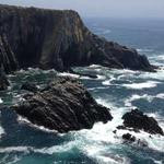 Jaylon Kohler Profile Picture