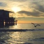 Duane Bruen Profile Picture