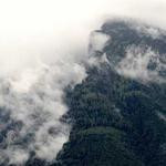 Cruz Toy Profile Picture