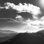 Julianne Quigley Profile Picture