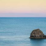 Cameron Bernhard Profile Picture