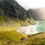 Mohammad Luettgen Profile Picture