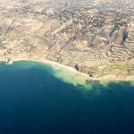 Armando Leffler Profile Picture