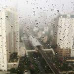 Alaina Schinner Profile Picture