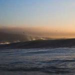 Allison Wunsch Profile Picture