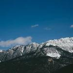 Rowena Cummings Profile Picture