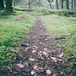 Kamron Ortiz Profile Picture