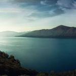 Jerrell McDermott Profile Picture