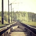 Karley Wisoky Profile Picture