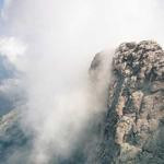 Jayne Reynolds Profile Picture