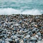 Maymie Reichel Profile Picture