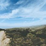 Carson Harvey Profile Picture