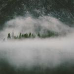 Preston Reilly Profile Picture