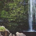 Kacie Hermann Profile Picture