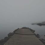 Cathryn Spinka Profile Picture