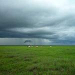 David Boyle Profile Picture