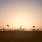 Britney Raynor Profile Picture