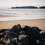 Brando Waelchi Profile Picture