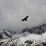 Frieda Bednar Profile Picture